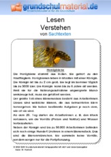 Honigbiene - Sachtext.pdf